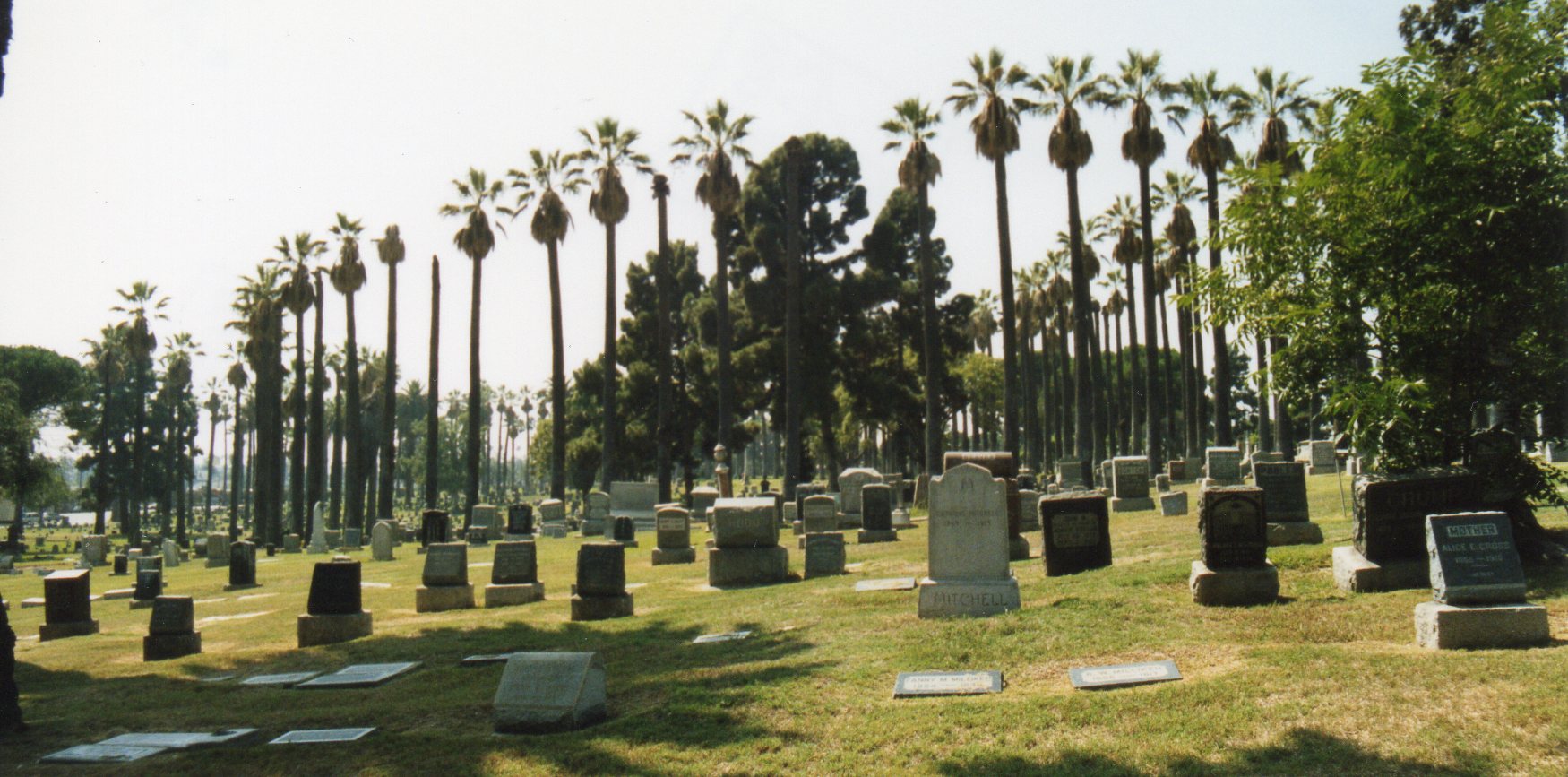 Cemetery